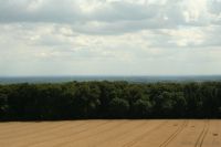 Sommerfest Baumberge 2010.1 619